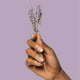 Poo~Pourri Lavender Vanilla, Lavender + Vanilla + Citrus Before You Go Toilet Spray 2 Oz (Odor eliminating Air Freshener)
